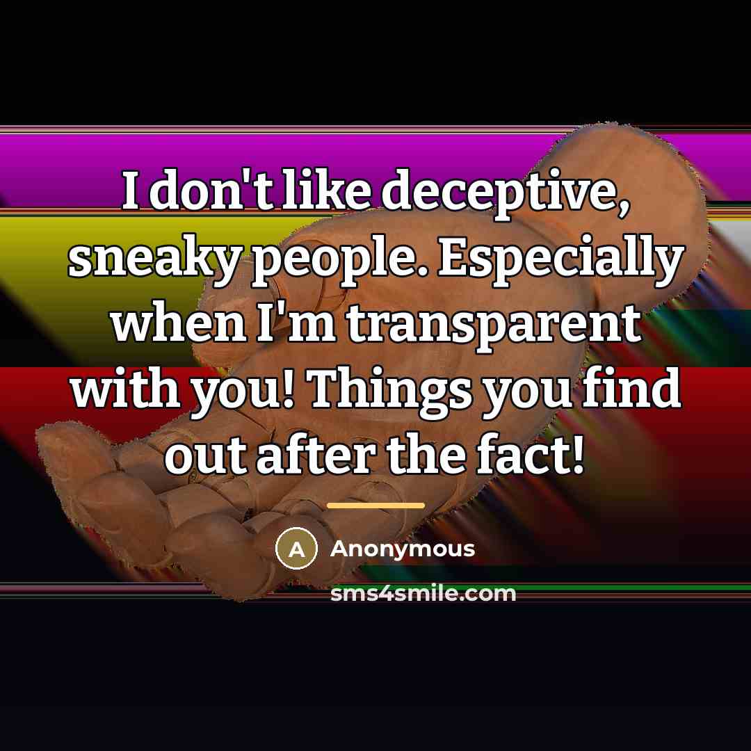 “I don't like deceptive, sneaky people. Especially when I'm transparent…” quote by Anonymous