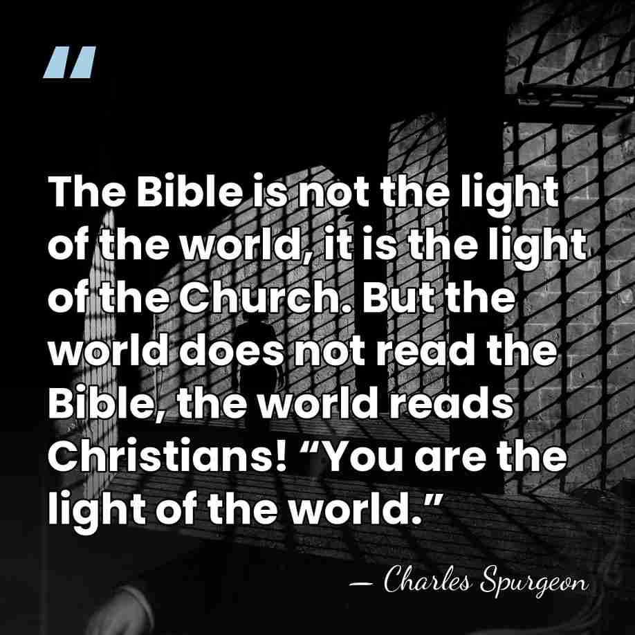 The Bible is not the light of the world, it is the&hellip; - Charles Spurgeon