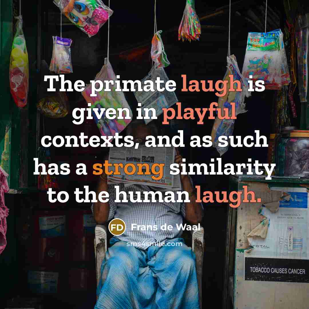 “The primate laugh is given in playful contexts, and as such has a strong similarity to the human laugh.” quote by Frans de Waal