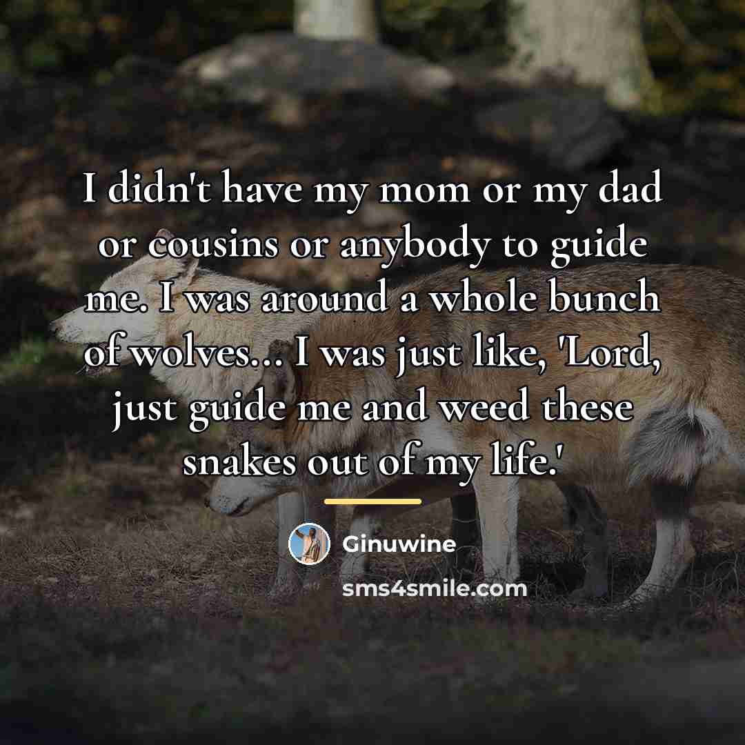 “I didn't have my mom or my dad or cousins…” quote by Ginuwine