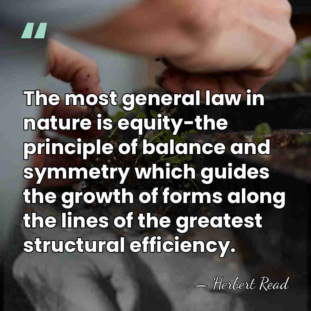 The most general law in nature is equity-the principle of balance and&hellip; - Herbert Read