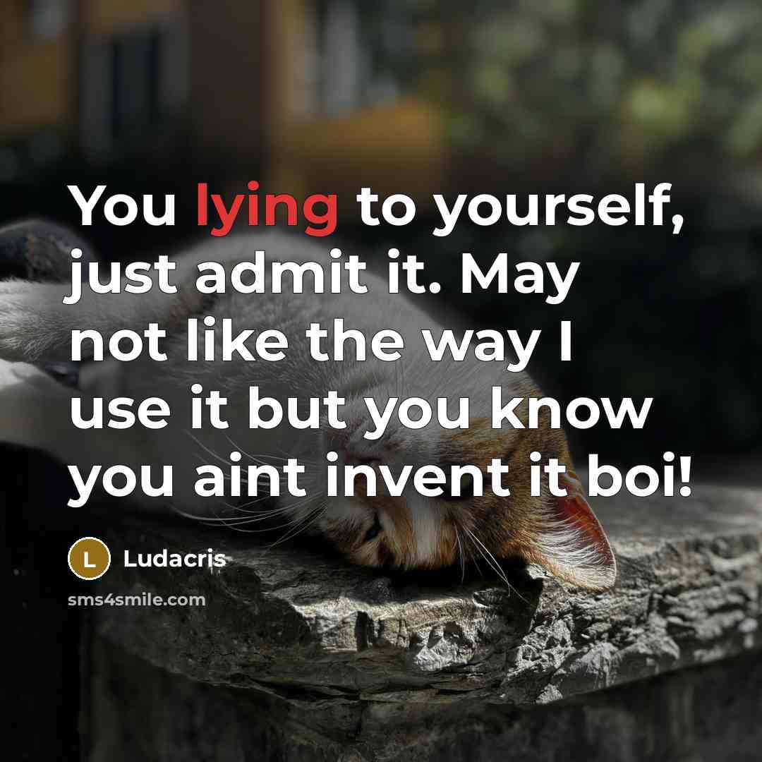 “You lying to yourself, just admit it. May not like…” quote by Ludacris