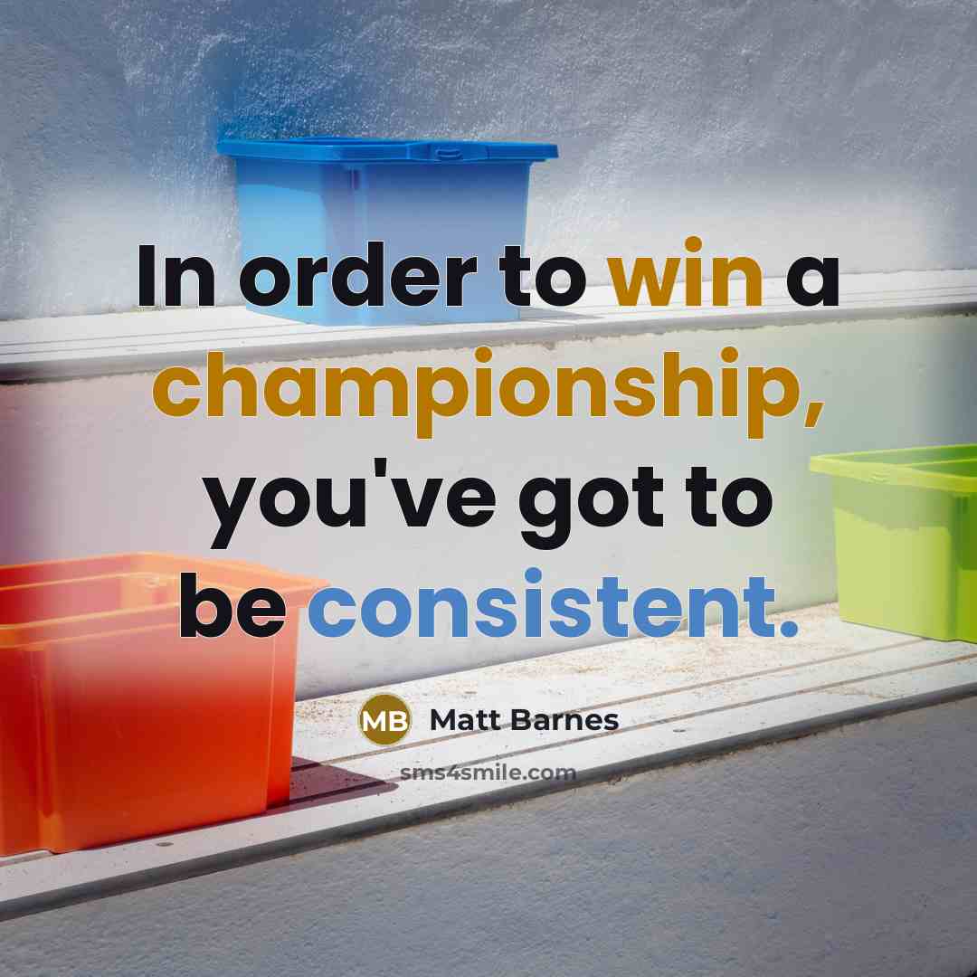 “In order to win a championship, you've got to be…” quote by Matt Barnes