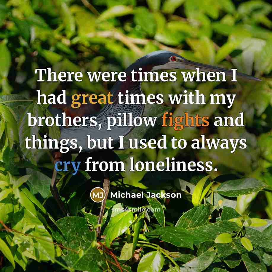 “There were times when I had great times with my brothers, pillow fights and things, but I used to always cry from loneliness.” quote by Michael Jackson