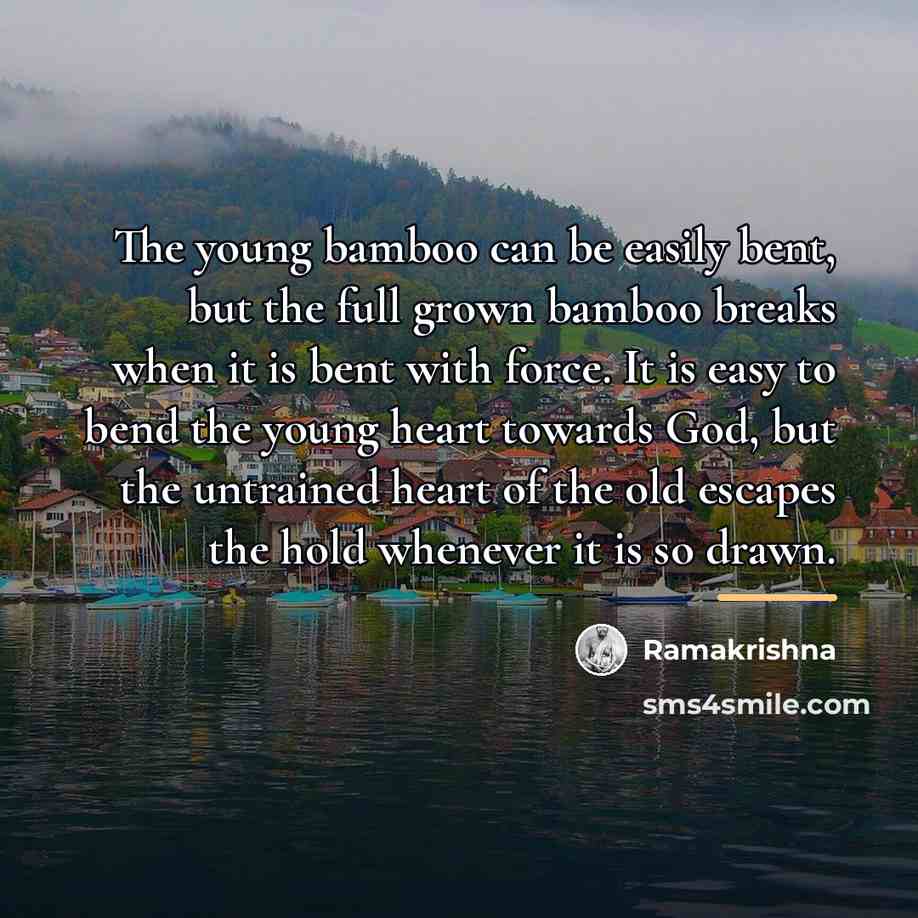 “The young bamboo can be easily bent, but the full…” quote by Ramakrishna