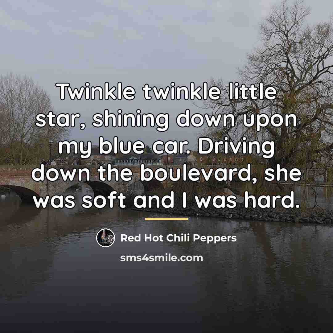 “Twinkle twinkle little star, shining down upon my blue car.…” quote by Red Hot Chili Peppers