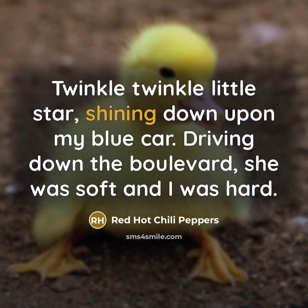 “Twinkle twinkle little star, shining down upon my blue car. Driving down the boulevard, she was soft and I was hard.” quote by Red Hot Chili Peppers