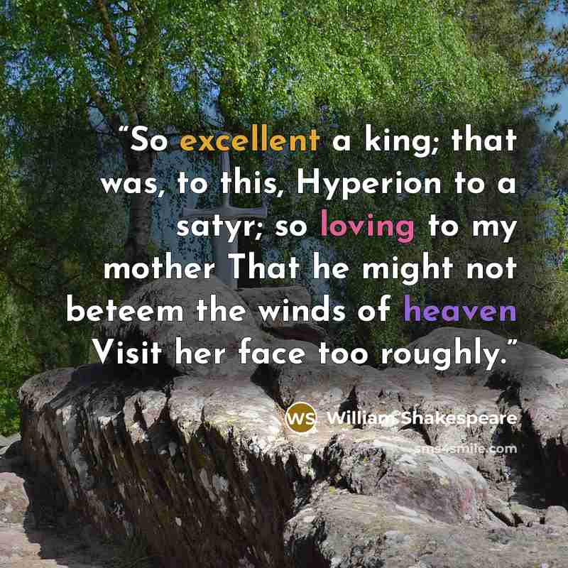 “So excellent a king; that was, to this, Hyperion to a satyr; so loving to my mother That he might not beteem the winds of heaven Visit her face too roughly.” quote by William Shakespeare