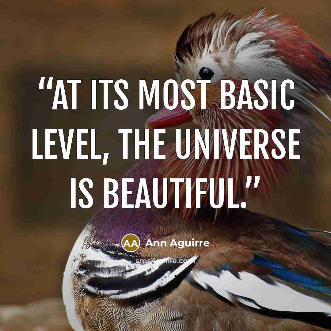 “At its most basic level, the universe is beautiful.” quote by Ann Aguirre