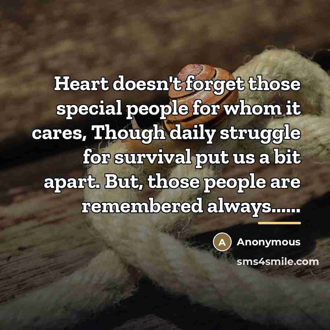 “Heart doesn't forget those special people for whom it cares,…” quote by Anonymous