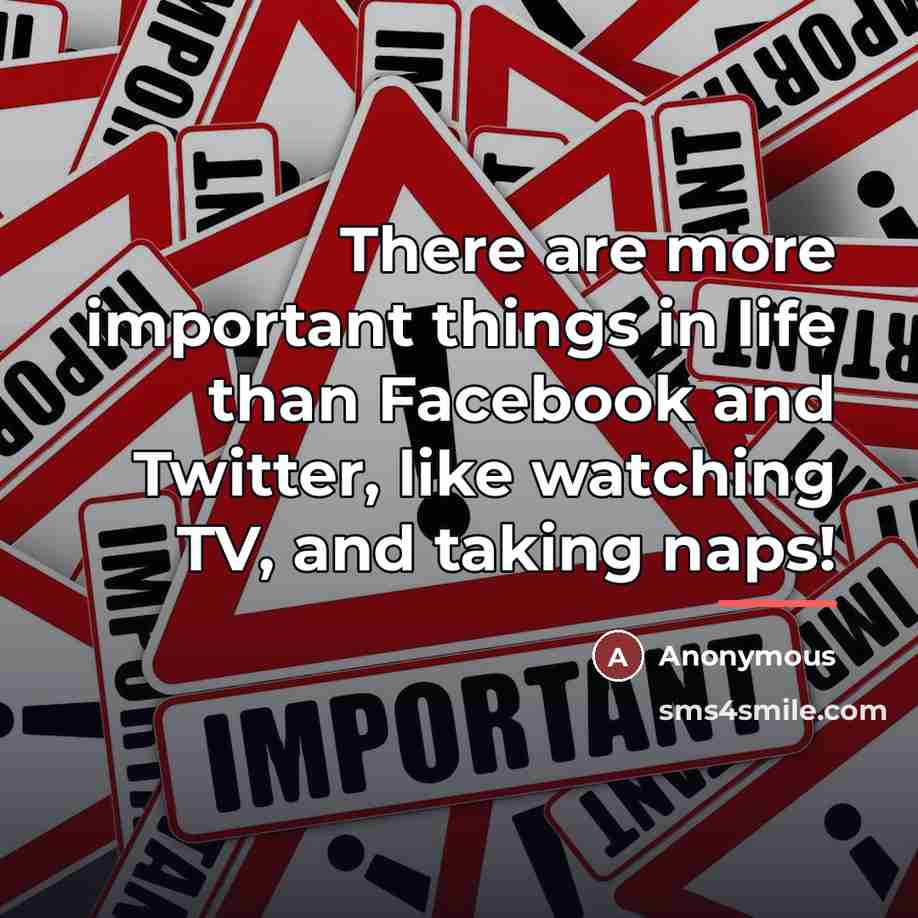 “There are more important things in life than Facebook and…” quote by Anonymous