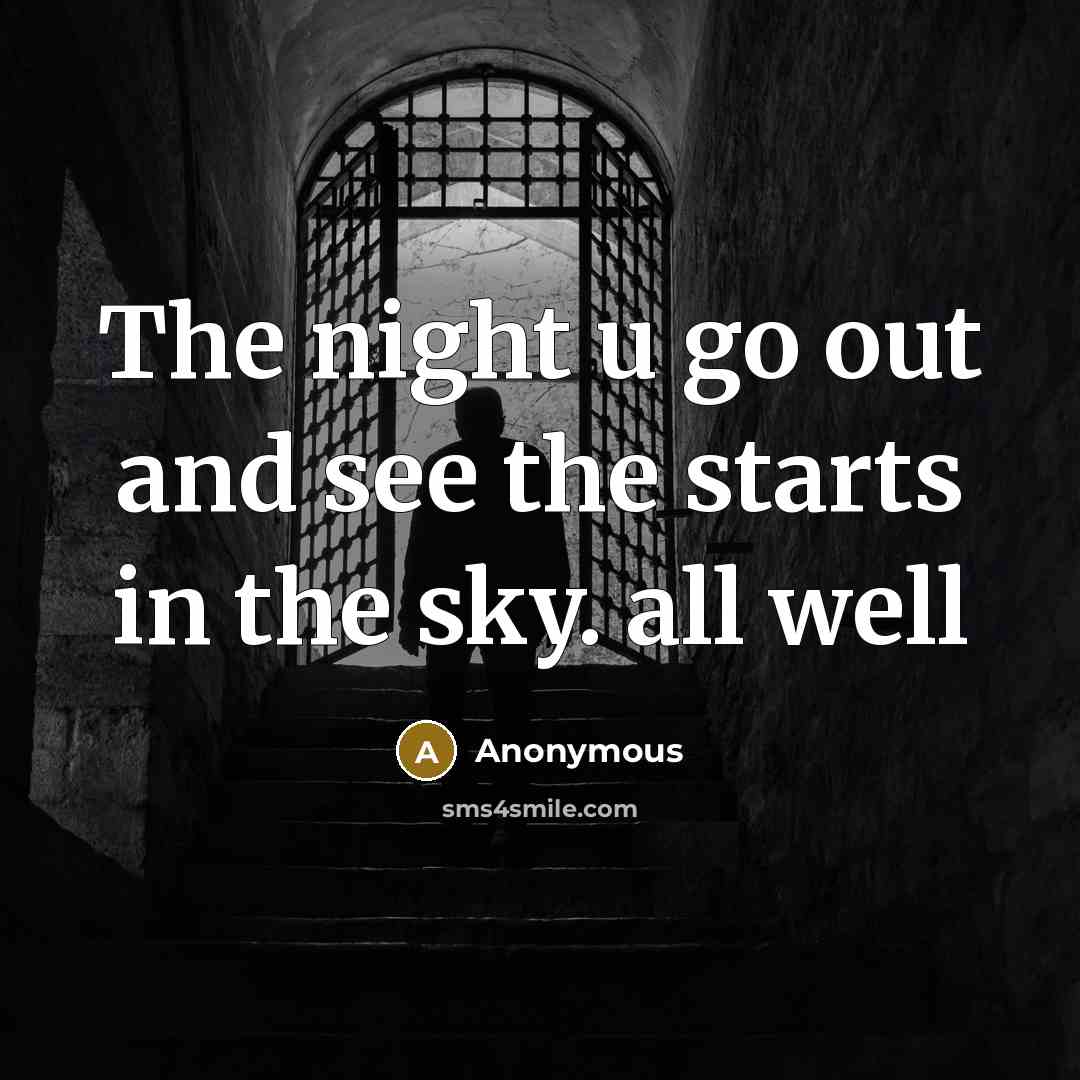 “The night u go out and see the starts in…” quote by Anonymous