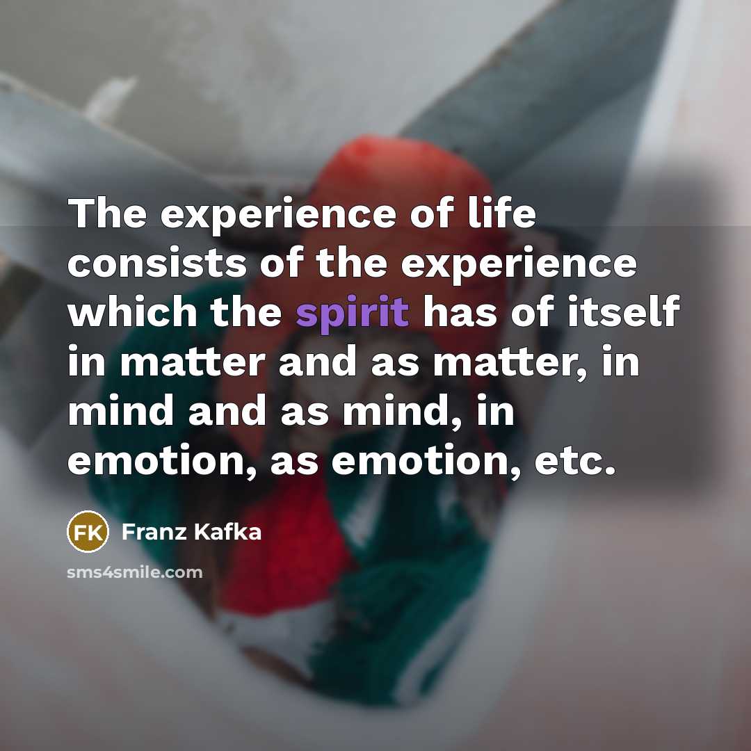 “The experience of life consists of the experience which the…” quote by Franz Kafka