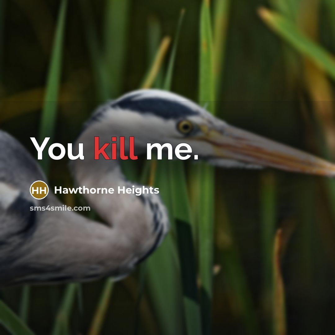 “You kill me.” quote by Hawthorne Heights