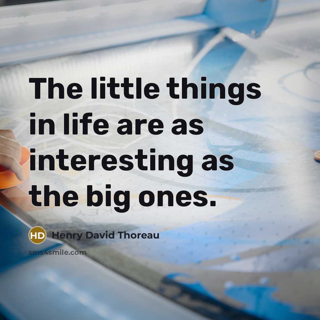 “The little things in life are as interesting as the…” quote by Henry David Thoreau