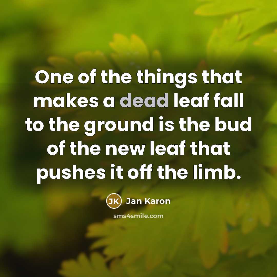 “One of the things that makes a dead leaf fall…” quote by Jan Karon