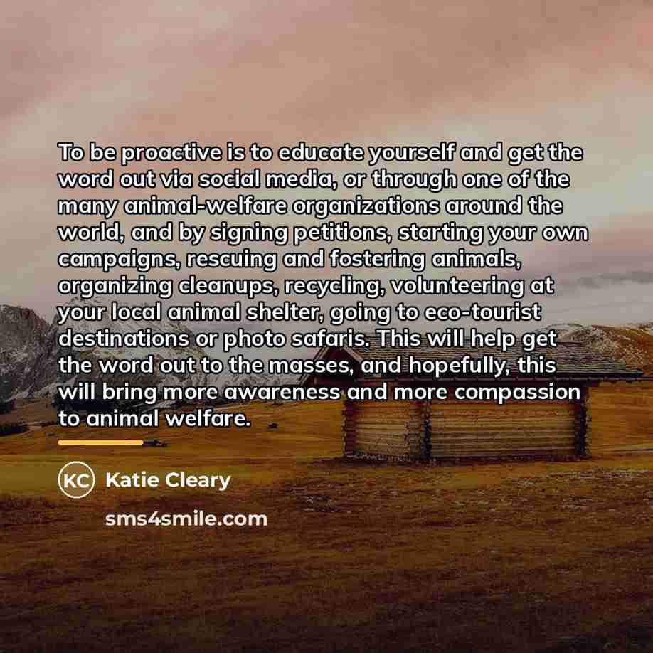 “To be proactive is to educate yourself and get the…” quote by Katie Cleary