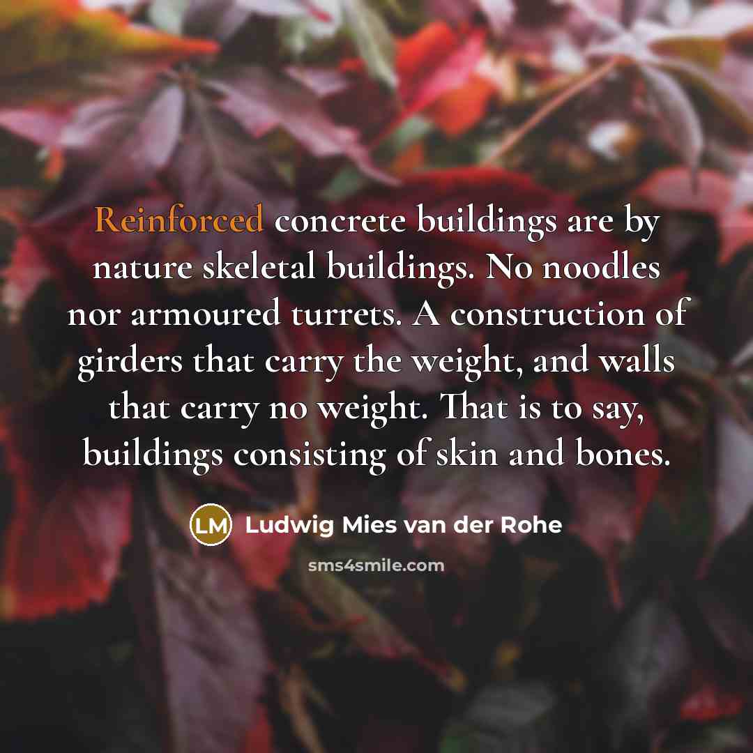 “Reinforced concrete buildings are by nature skeletal buildings. No noodles nor armoured turrets. A construction of girders that carry the weight, and walls that carry no weight. That is to say, buildings consisting of skin and bones.” quote by Ludwig Mies van der Rohe