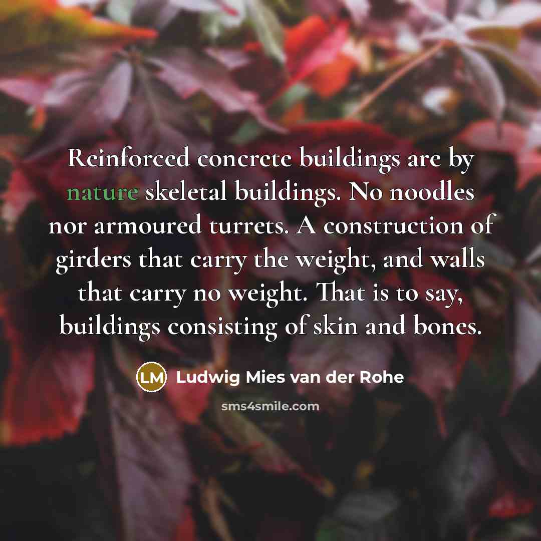“Reinforced concrete buildings are by nature skeletal buildings. No noodles…” quote by Ludwig Mies van der Rohe