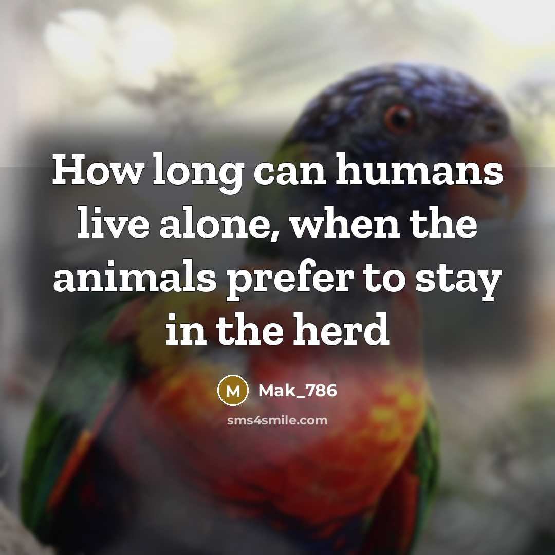 “How long can humans live alone, when the animals prefer to stay in the herd” quote by Mak_786