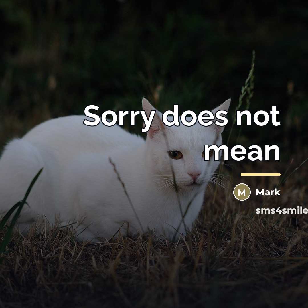 “Sorry does not mean…” quote by Mark