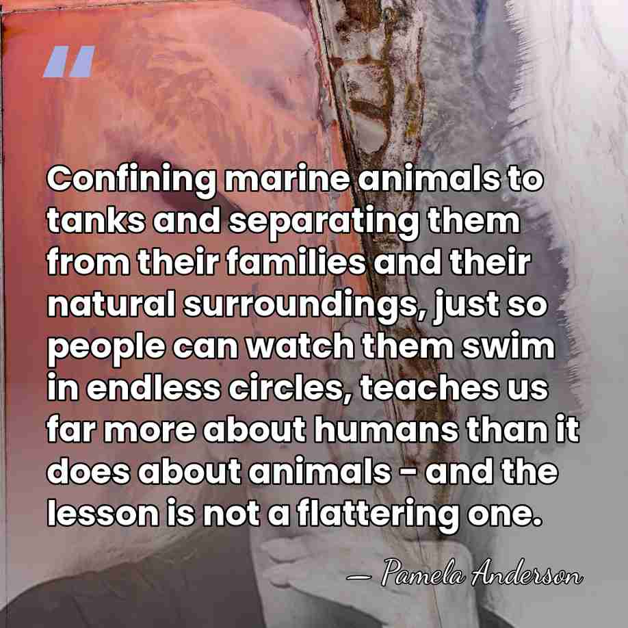 Confining marine animals to tanks and separating them from their families and&hellip; - Pamela Anderson