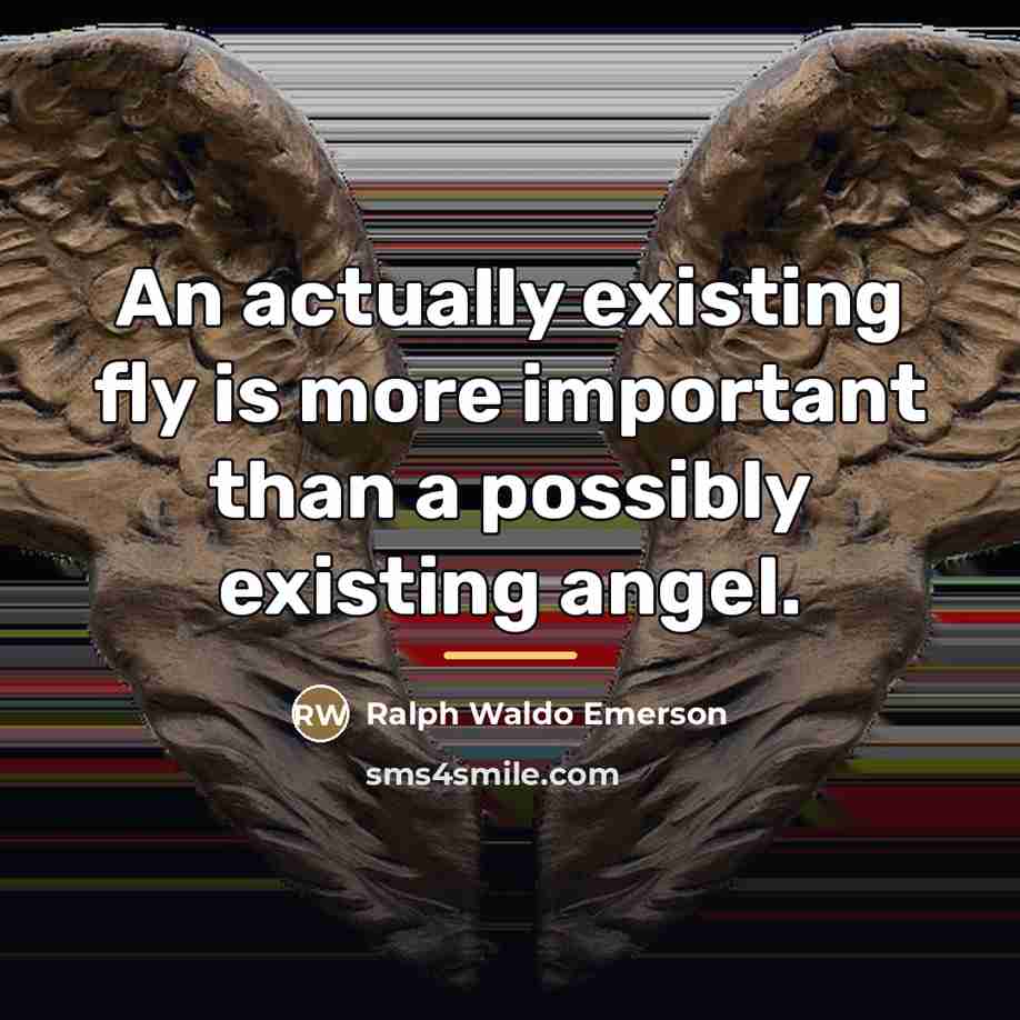 “An actually existing fly is more important than a possibly…” quote by Ralph Waldo Emerson