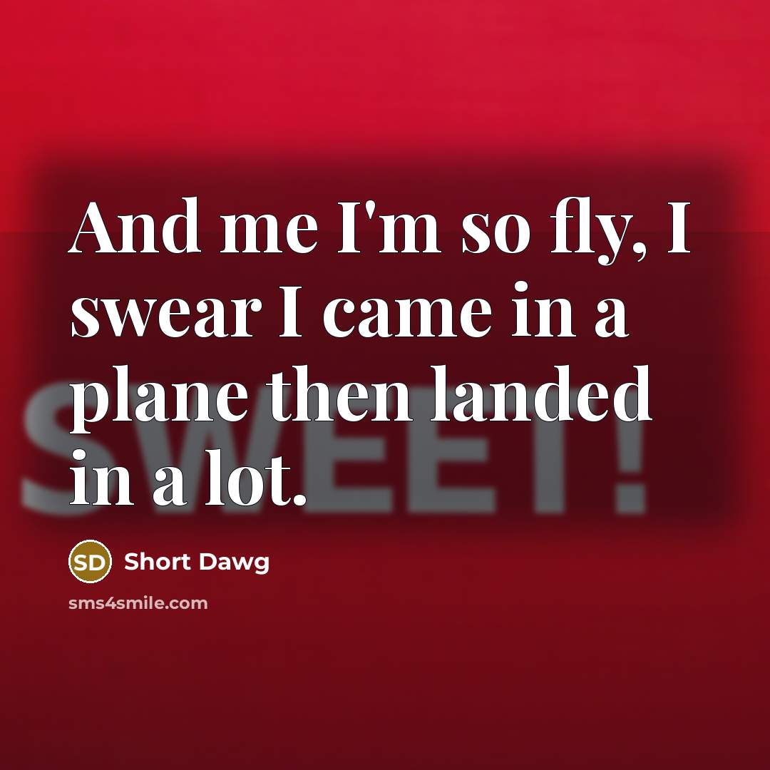 “And me I'm so fly, I swear I came in a plane then landed in a lot.” quote by Short Dawg
