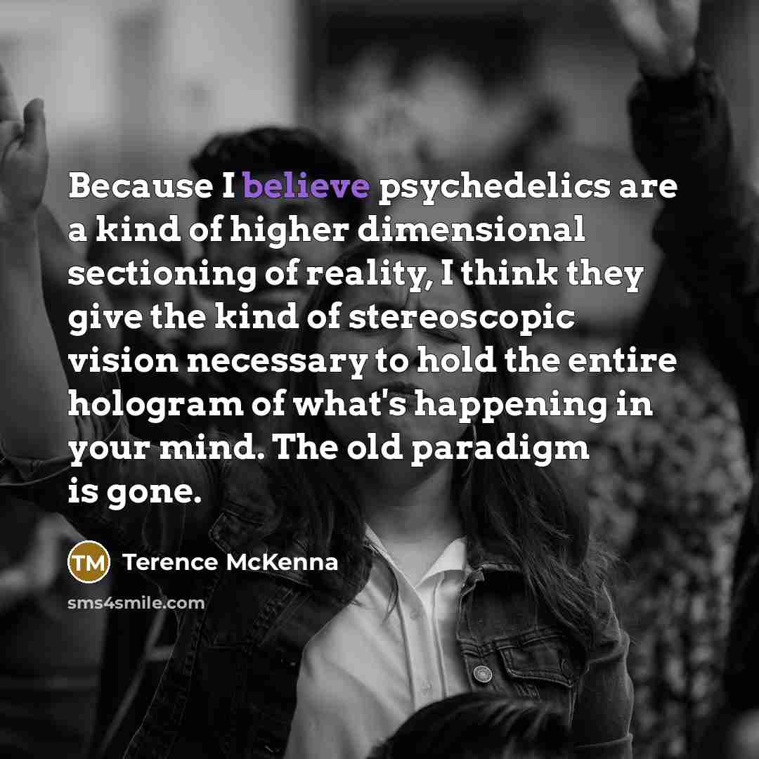 “Because I believe psychedelics are a kind of higher dimensional…” quote by Terence McKenna