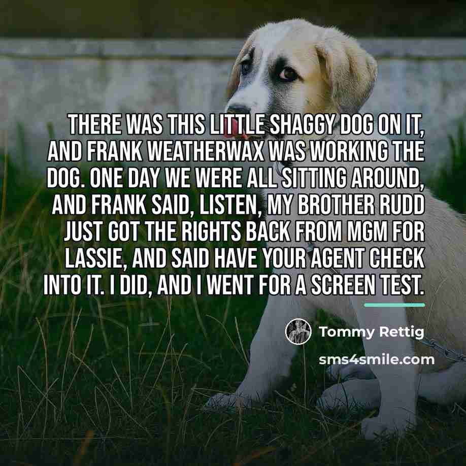 “There was this little shaggy dog on it, and Frank…” quote by Tommy Rettig
