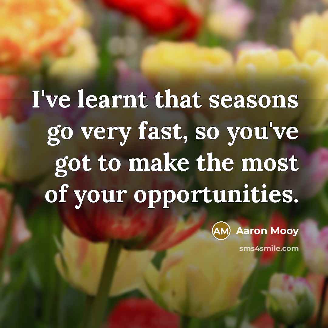 “I've learnt that seasons go very fast, so you've got…” quote by Aaron Mooy