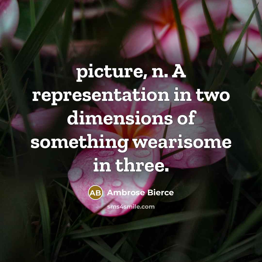 “picture, n. A representation in two dimensions of something wearisome…” quote by Ambrose Bierce