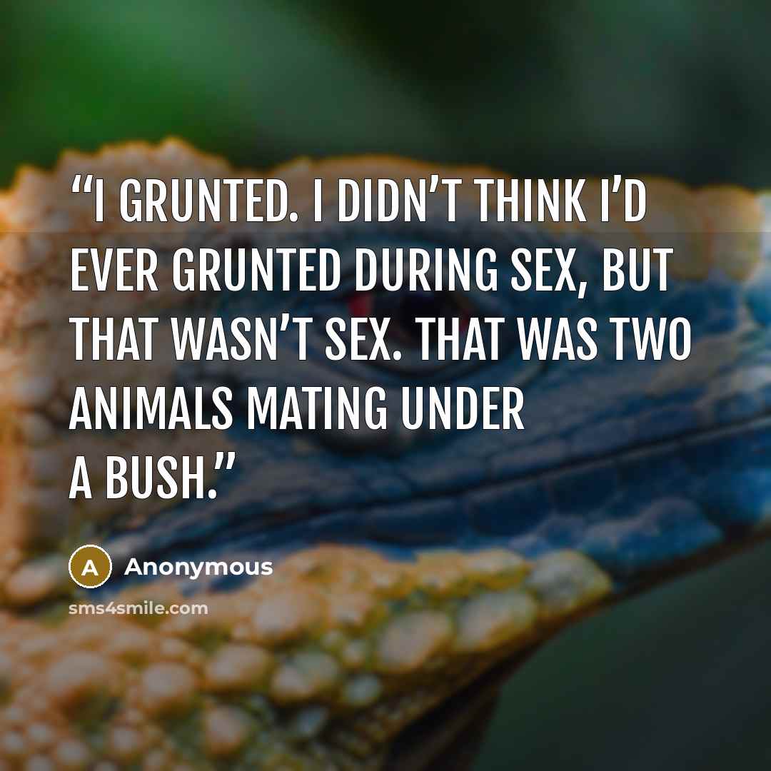 “I grunted. I didn’t think I’d ever grunted during sex, but that wasn’t sex. That was two animals mating under a bush.” quote by Anonymous