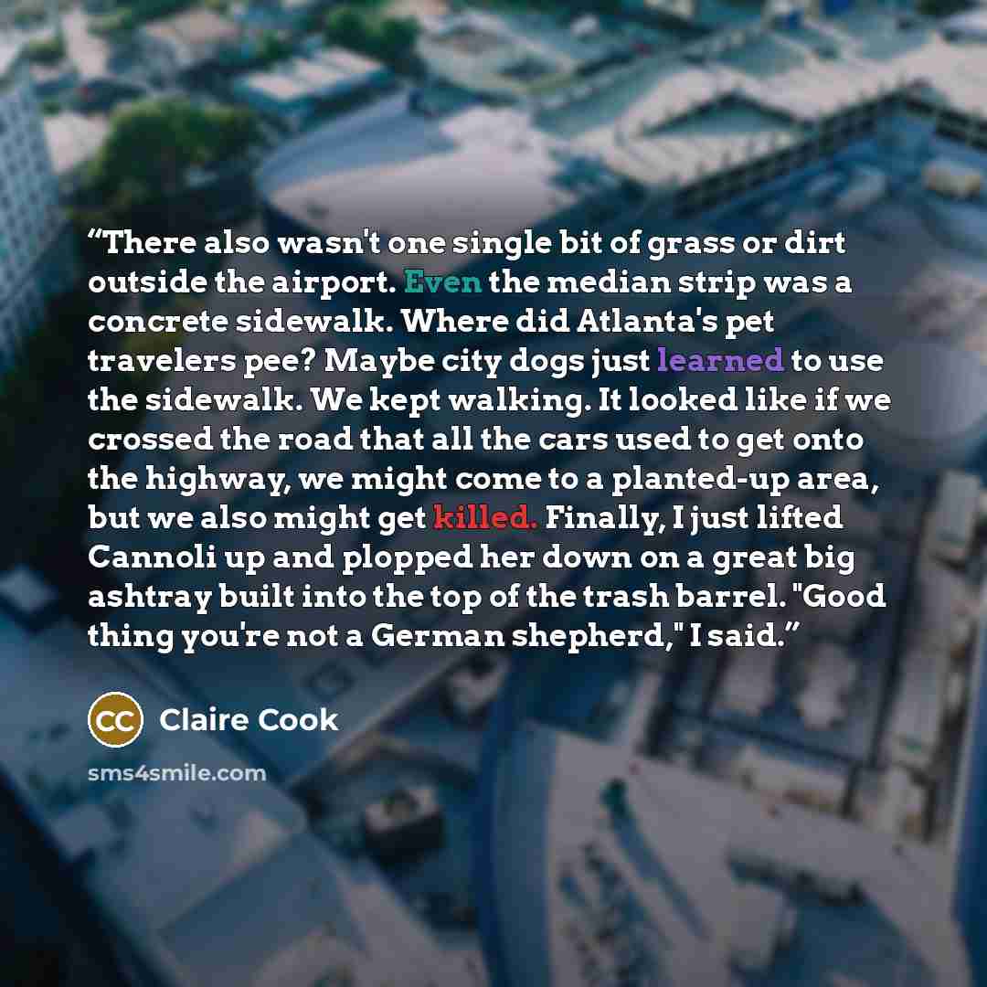 “There also wasn't one single bit of grass or dirt outside the airport. Even the median strip was a concrete sidewalk. Where did Atlanta's pet travelers pee? Maybe city dogs just learned to use the sidewalk. We kept walking. It looked like if we crossed the road that all the cars used to get onto…” quote by Claire Cook