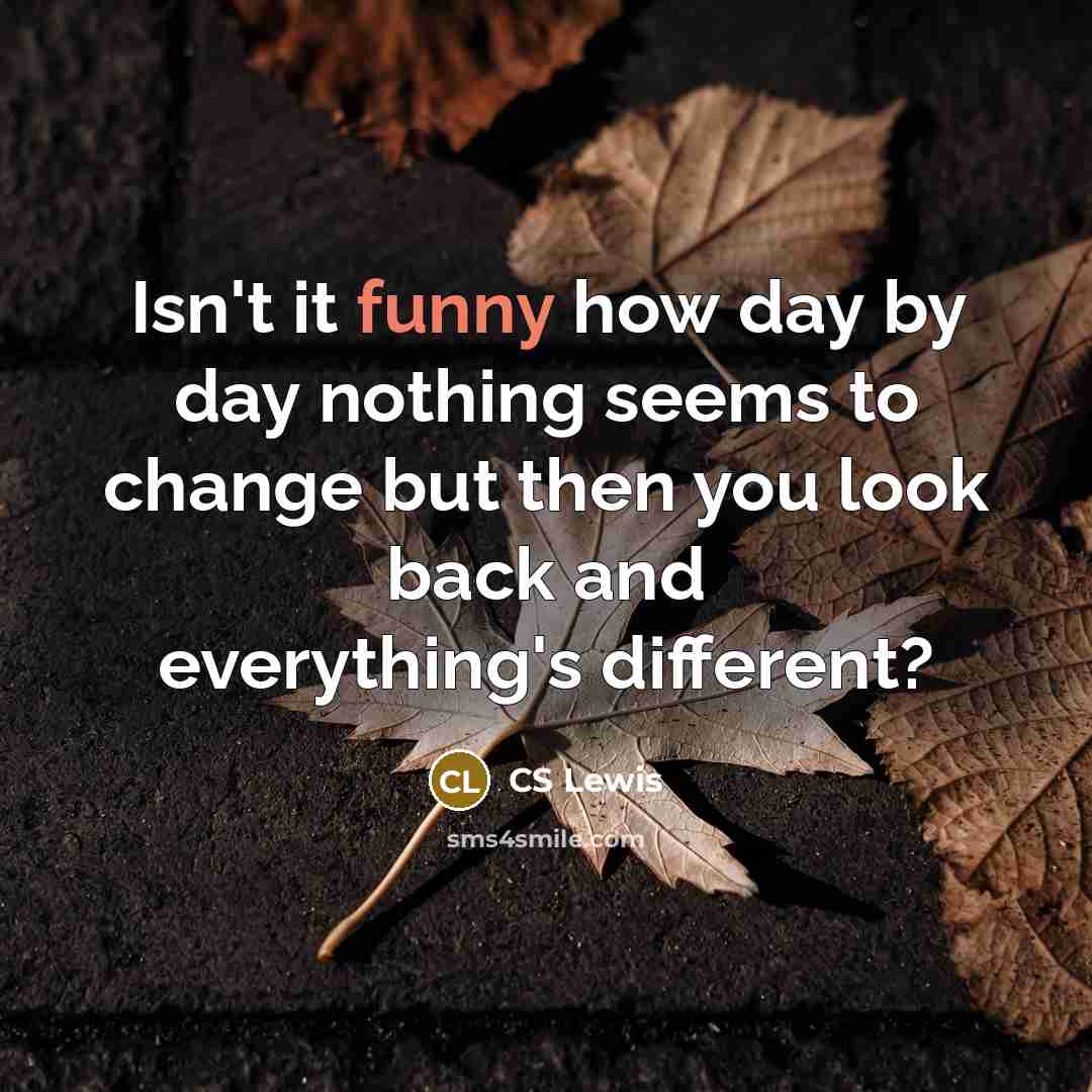 “Isn't it funny how day by day nothing seems to change but then you look back and everything's different?” quote by CS Lewis