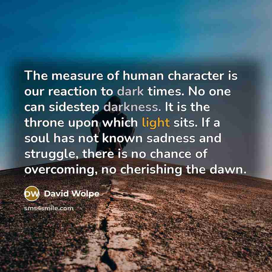 “The measure of human character is our reaction to dark…” quote by David Wolpe