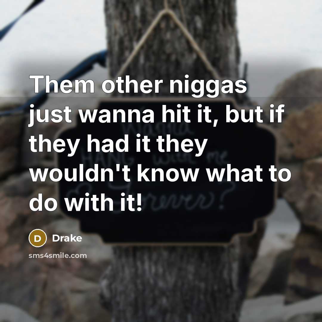“Them other niggas just wanna hit it, but if they had it they wouldn't know what to do with it!” quote by Drake