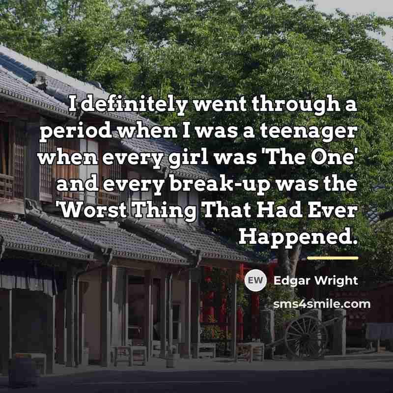 “I definitely went through a period when I was a…” quote by Edgar Wright