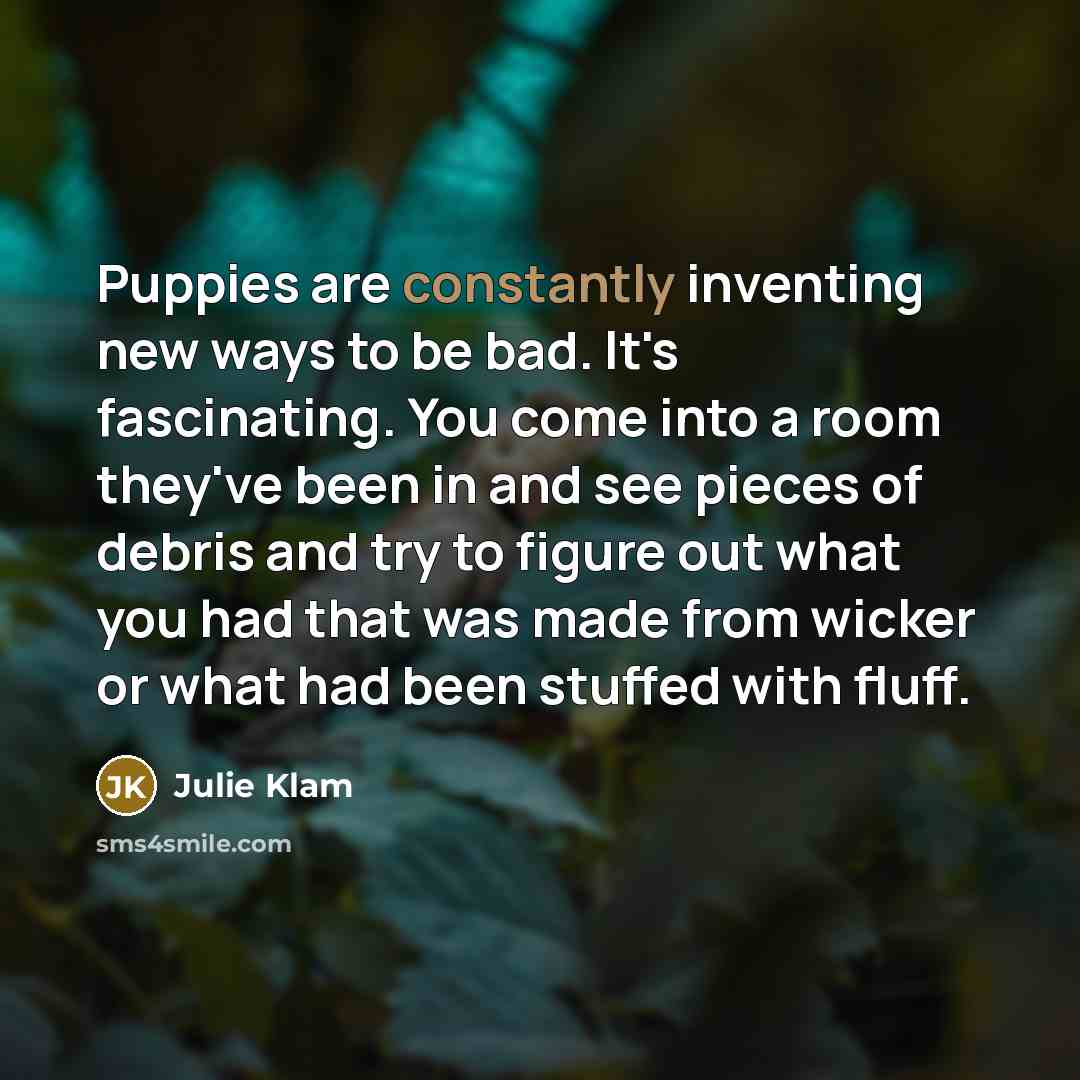 “Puppies are constantly inventing new ways to be bad. It's fascinating. You come into a room they've been in and see pieces of debris and try to figure out what you had that was made from wicker or what had been stuffed with fluff.” quote by Julie Klam