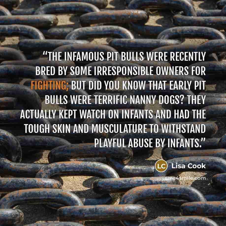 “The infamous Pit bulls were recently bred by some irresponsible owners for fighting; but did you know that early pit bulls were terrific nanny dogs? They actually kept watch on infants and had the tough skin and musculature to withstand playful abuse by infants.” quote by Lisa Cook