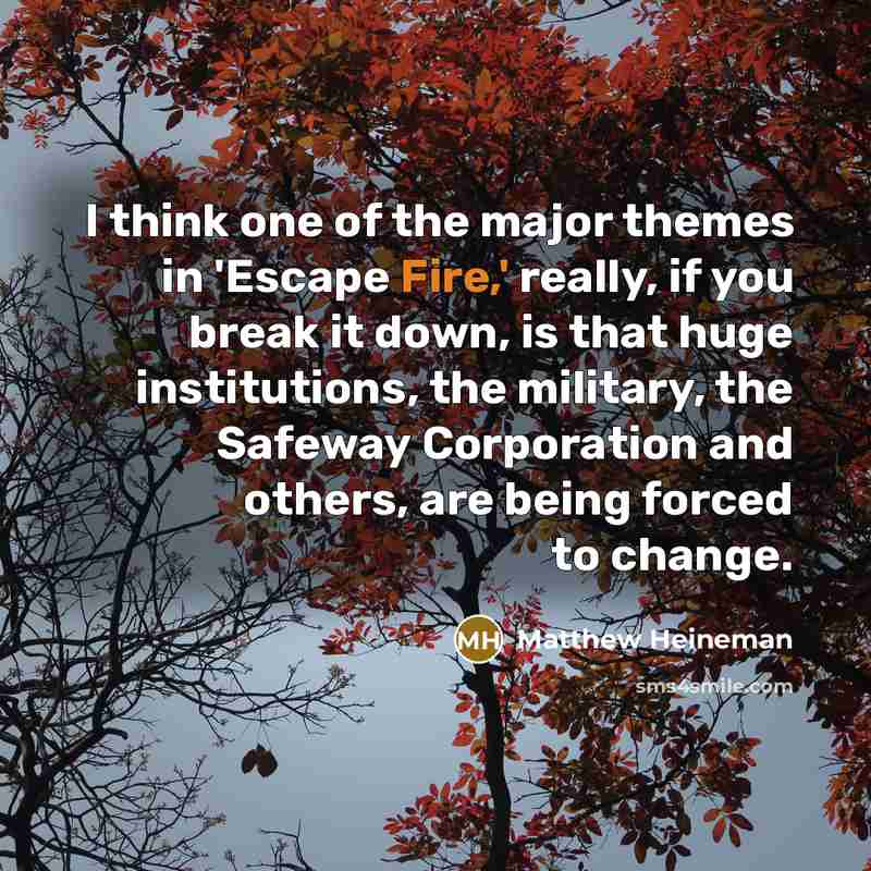 “I think one of the major themes in 'Escape Fire,'…” quote by Matthew Heineman