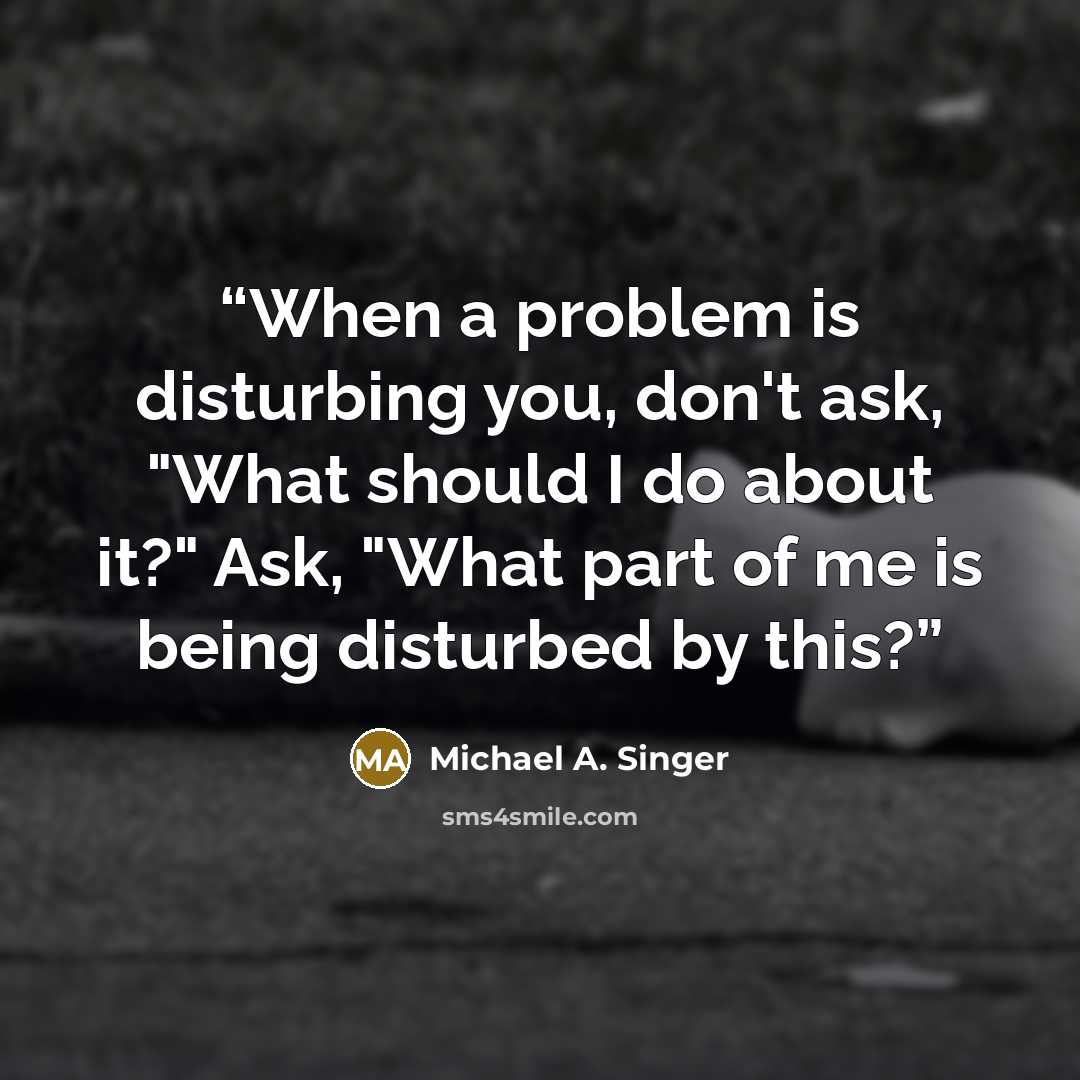 “When a problem is disturbing you, don't ask, "What should I do about it?" Ask, "What part of me is being disturbed by this?” quote by Michael A. Singer