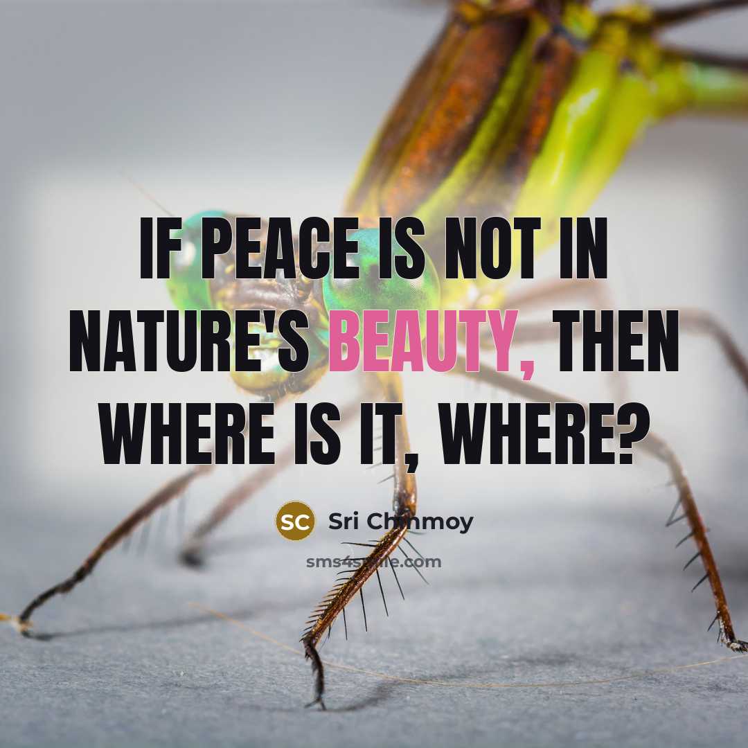 “If peace is not In Nature's beauty, Then where is…” quote by Sri Chinmoy