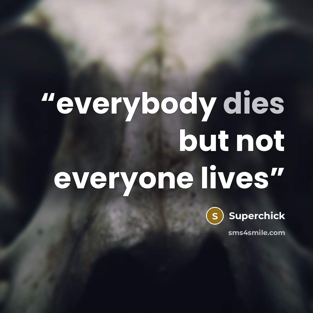 “everybody dies but not everyone lives” quote by superchick