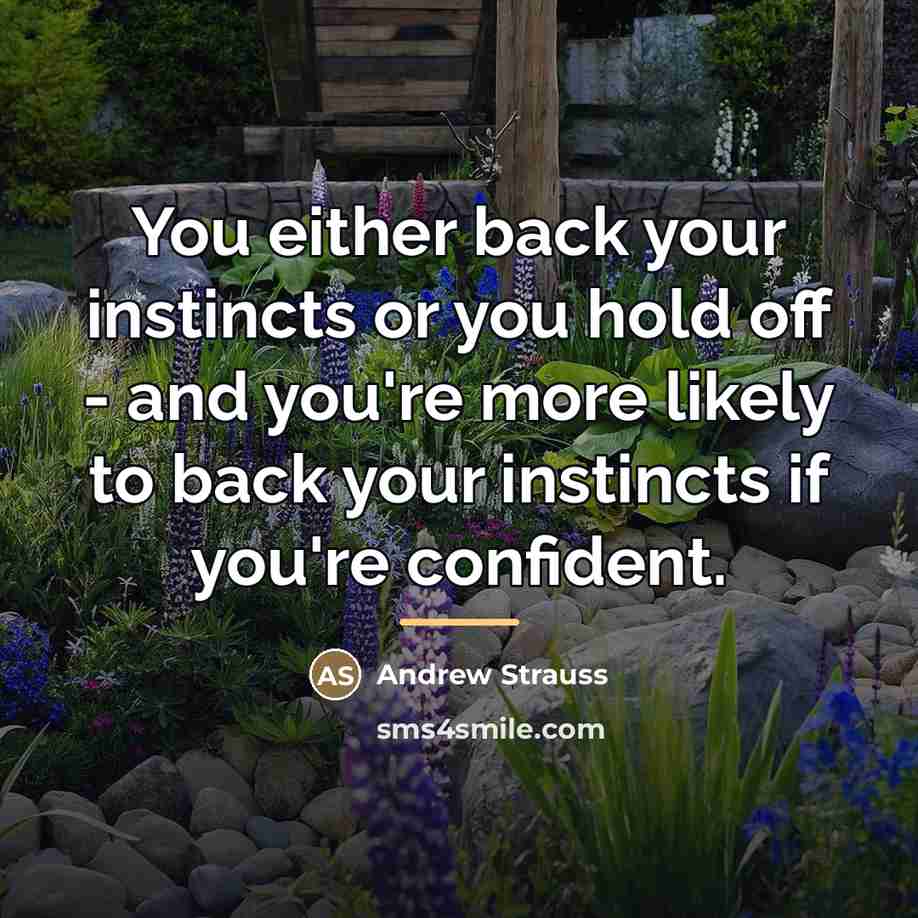 “You either back your instincts or you hold off -…” quote by Andrew Strauss