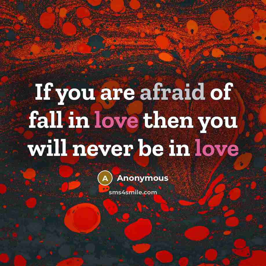 “If you are afraid of fall in love then you will never be in love” quote by Anonymous