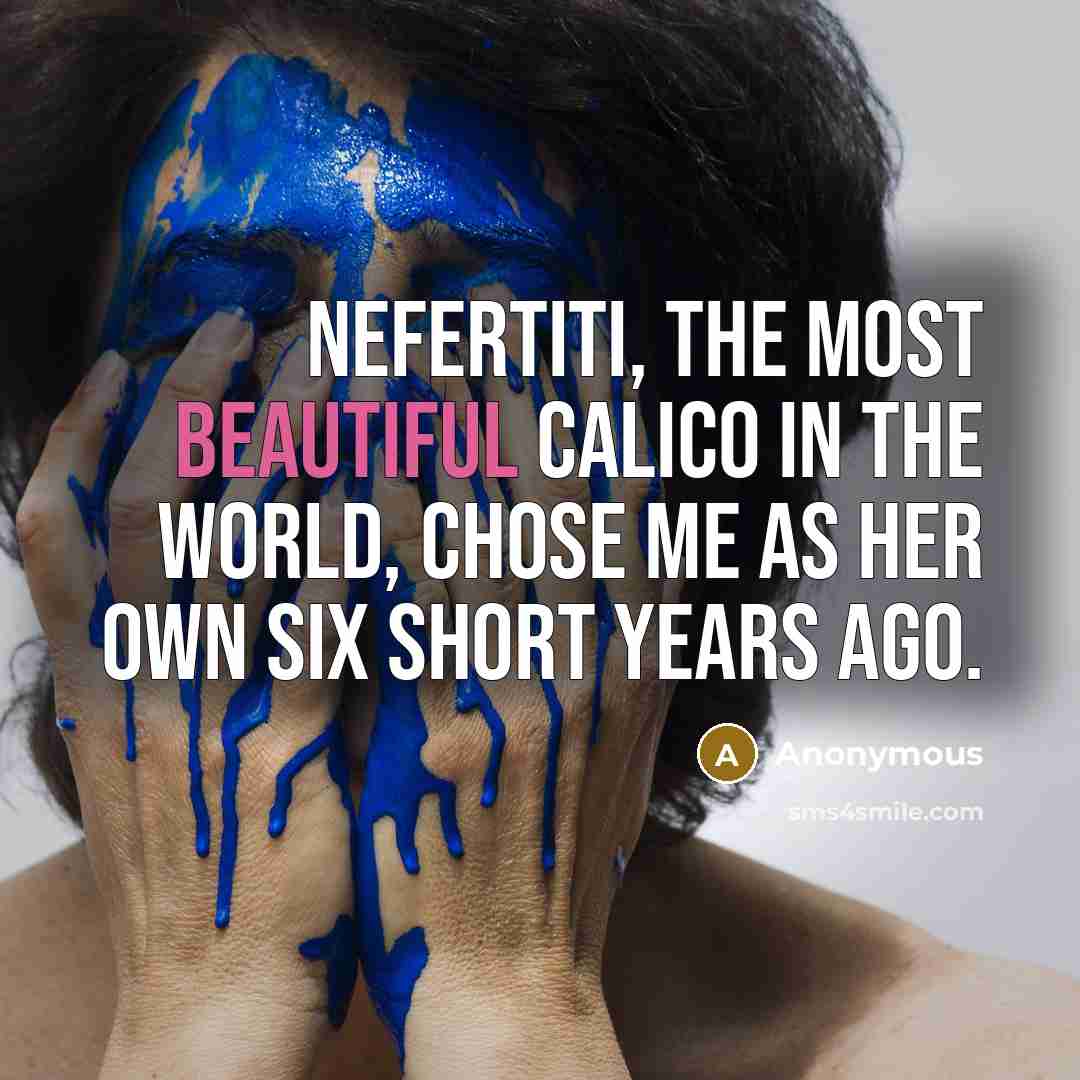 “Nefertiti, the most beautiful calico in the world, chose me…” quote by Anonymous