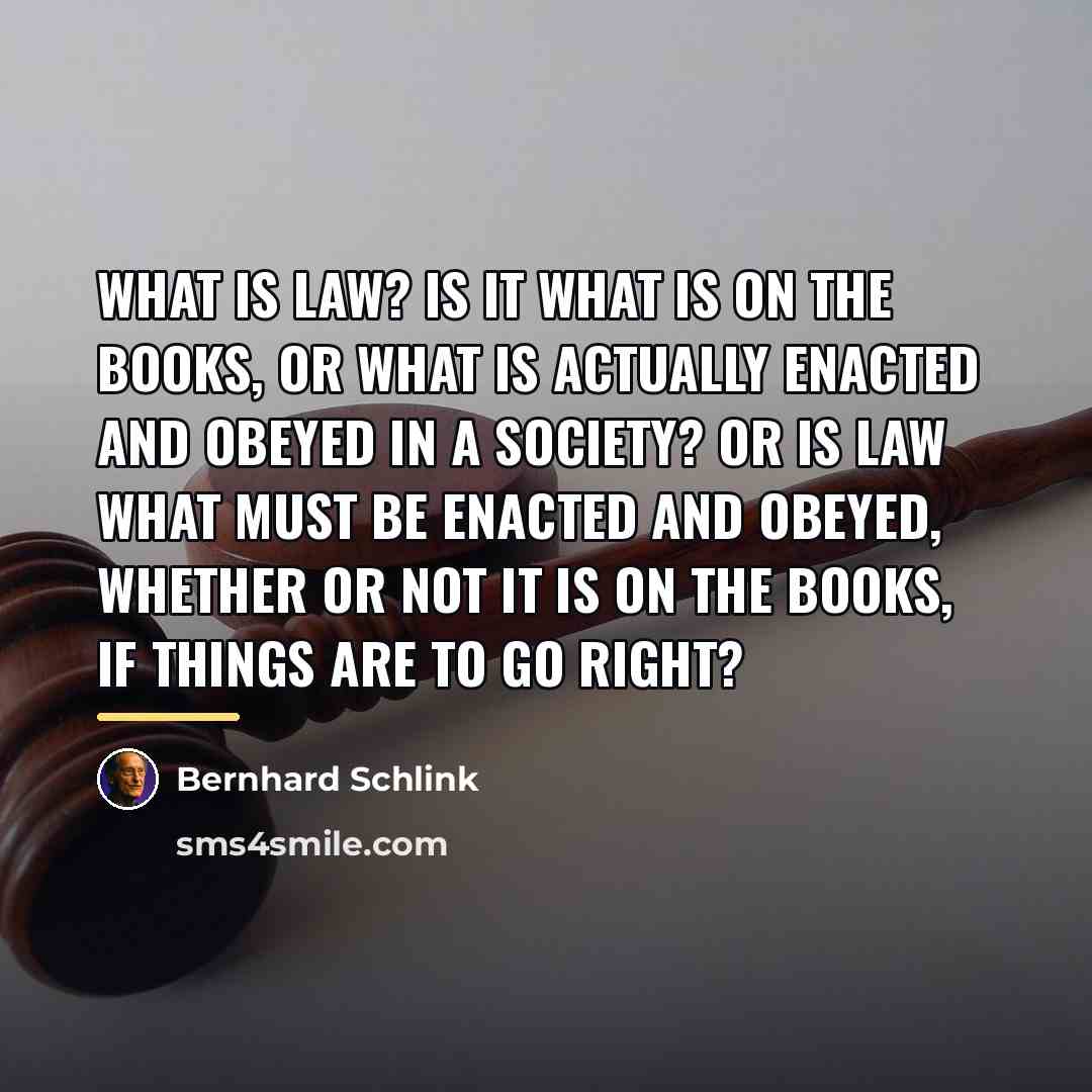 “What is law? Is it what is on the books,…” quote by Bernhard Schlink