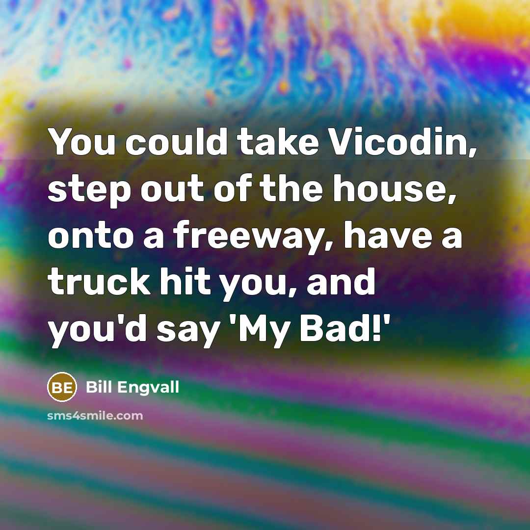 “You could take Vicodin, step out of the house, onto a freeway, have a truck hit you, and you'd say 'My Bad!'” quote by Bill Engvall