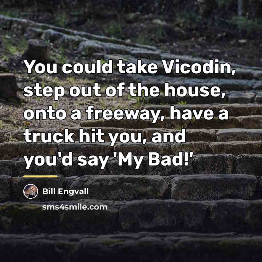 “You could take Vicodin, step out of the house, onto…” quote by Bill Engvall